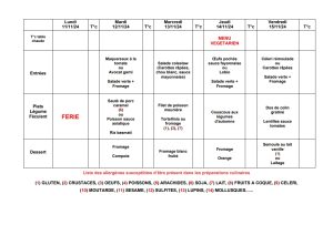 Menus semaine du 11/11/2024