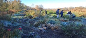 Plastique à la loupe à la réserve naturelle de Bruges