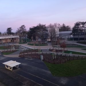 Radio Lapierre : Jean nous parle de la nouvelle cour !